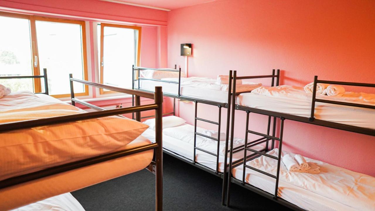 Rcadia Gaming House Frühstückspension